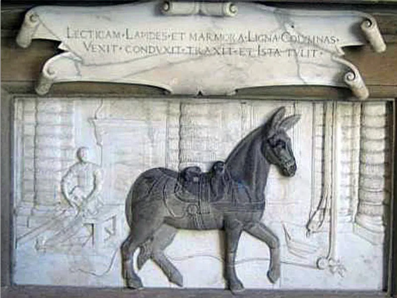 A Mule is celebrated in the Palazzo Pitti