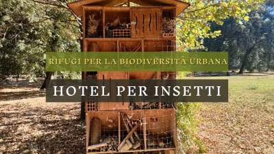 Hotel degli insetti