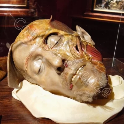 Museo-della-specola-firenze-cere-anatomiche