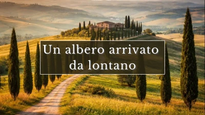 Storia di un albero eterno