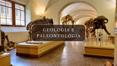 Geologia e Paleontologia per le scuole